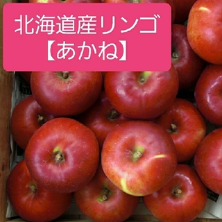★北海道余市町産リンゴ【あかね】訳あり品　５キロ(フルーツ)
