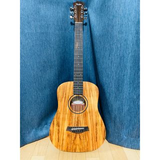 テイラーデザイン ギターの通販 36点 | Taylor Designの楽器を買うなら ...