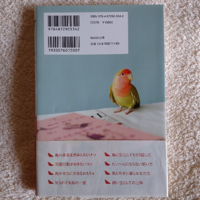 鳥のきもち 鳥と本音で通じあえる本 エンタメ/ホビーの本(人文/社会)の商品写真