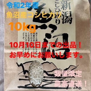 魚沼産コシヒカリ　令和2年  10キロ(米/穀物)