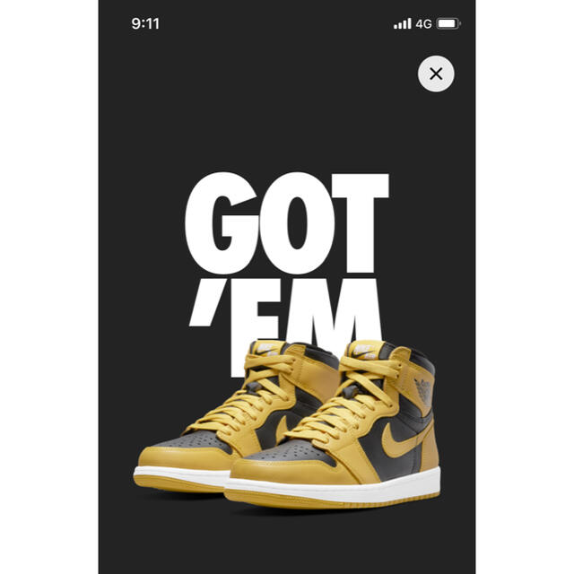 NIKE AIR JORDAN 1 HIGH OG "POLLEN" 29 cm