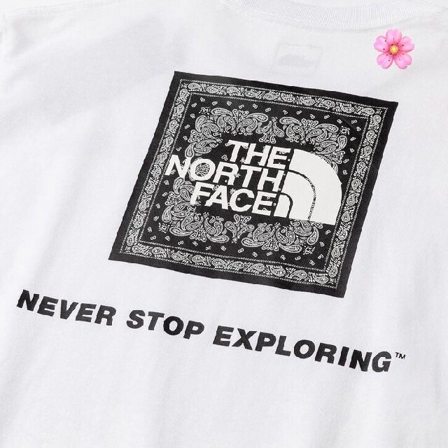 THE NORTH FACE(ザノースフェイス)の送料無料  Lサイズ ホワイト ノースフェイス バンダナスクエアロゴ ロンT メンズのトップス(Tシャツ/カットソー(七分/長袖))の商品写真