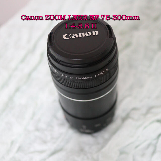 Canon ZOOM LENS EF 75-300mm 1:4-5.6 II