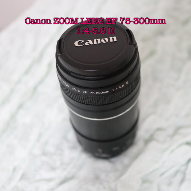 Canon ZOOM LENS EF 75-300mm 1:4-5.6 II | aosacoffee.com