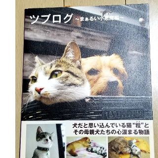 ツブログ 犬に育てられたもと捨て猫「粒」の物語 ｖｏｌ．０２（まぁるい小悪魔編(趣味/スポーツ/実用)