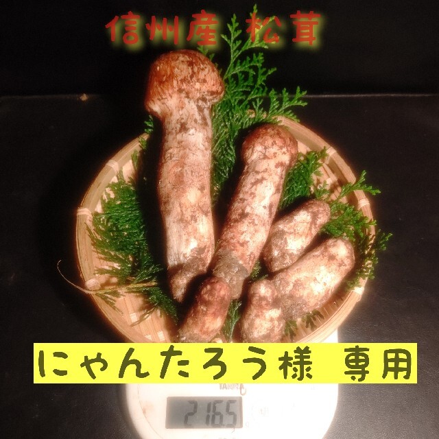 にゃんたろう様 専用 信州産 松茸 200ｇ 食品/飲料/酒の食品(野菜)の商品写真