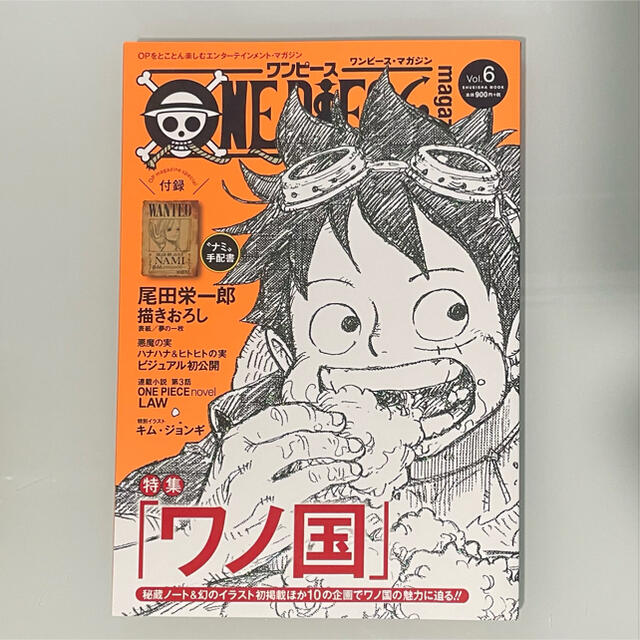 集英社(シュウエイシャ)のONE PIECE magazine Vol.6 ワンピース マガジン エンタメ/ホビーの本(アート/エンタメ)の商品写真