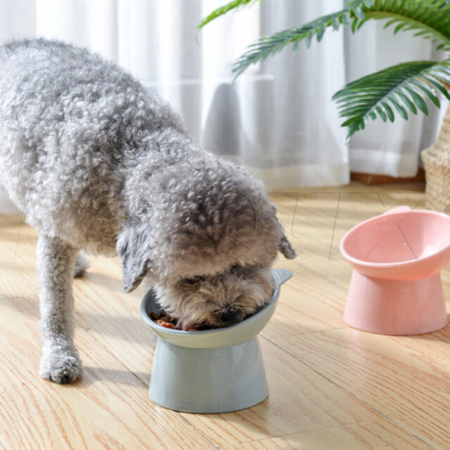 猫耳　ペットフード　ボウル　餌入れ　水入れ　犬　猫　グリーン その他のペット用品(猫)の商品写真