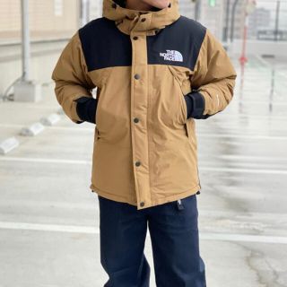 THE NORTH FACE マウンテンダウンジャケット 希少XS - library