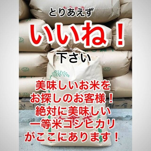 料亭との取引がある最高品質一等米コシヒカリ玄米20キロ本物のコシヒカリを食卓に