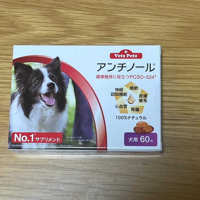 犬用アンチノール60粒入り1箱