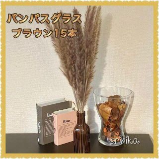 パンパスグラス　ブラウン15本　送料込み　ドライフラワー　観葉植物　花　韓国(ドライフラワー)