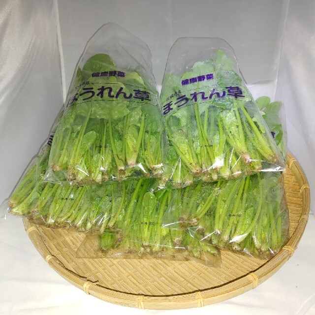 茨城の無農薬ほうれん草1kg 食品/飲料/酒の食品(野菜)の商品写真