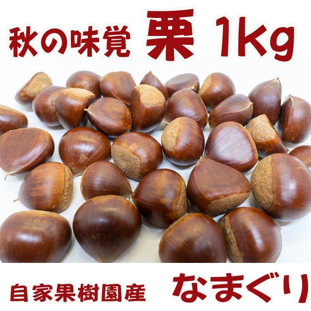 栗（生栗）１ｋｇ  送料無料  秋の味覚を直送（値下げ） 食品/飲料/酒の食品(野菜)の商品写真