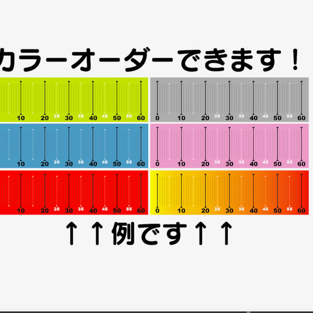 フィッシングメジャー　釣り スポーツ/アウトドアのフィッシング(ルアー用品)の商品写真