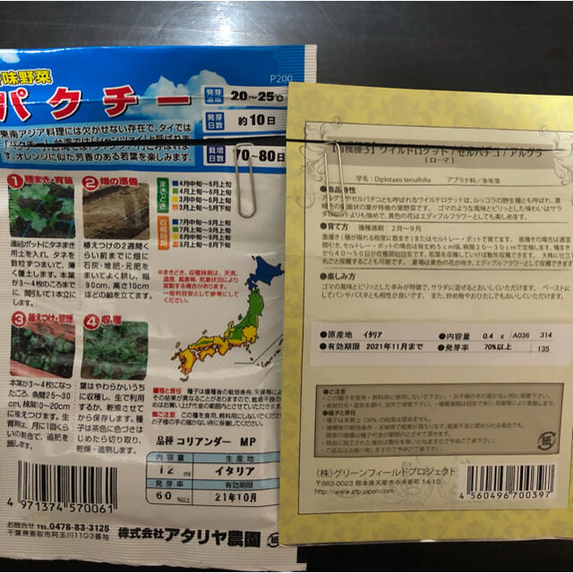 野菜の種　3種セット 食品/飲料/酒の食品(野菜)の商品写真