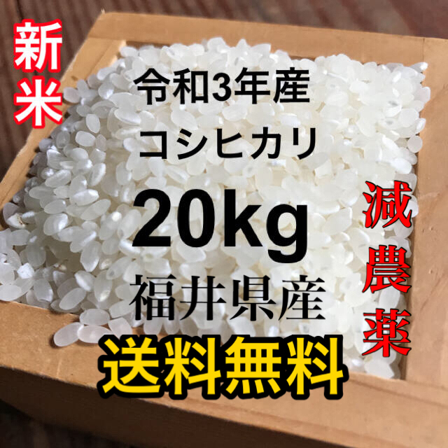 米/穀物　福井県産　減農薬　令和3年産　新米コシヒカリ20kg