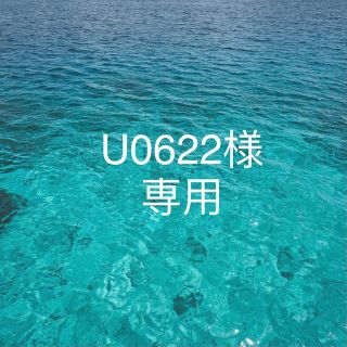 ソニー(SONY)のU0622専用ページ(レンズ(単焦点))