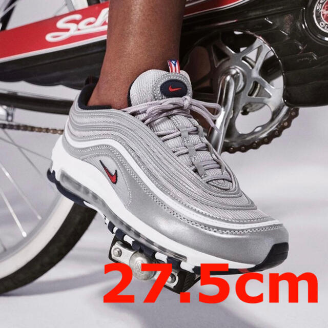 AIR MAX95　27.5cm