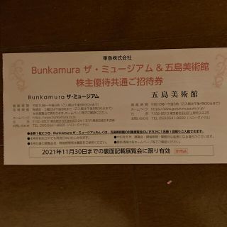 Bunkamuraザ・ミュージアム&五島美術館株主優待共通ご招待券(美術館/博物館)