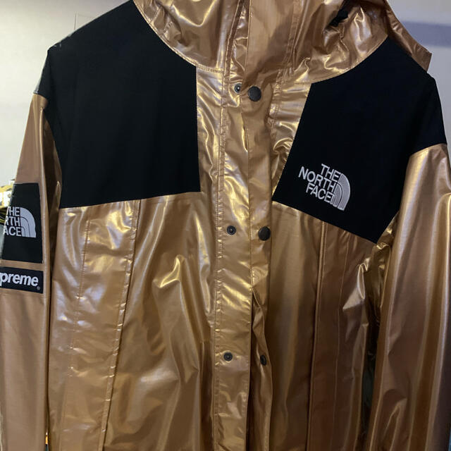 Supreme(シュプリーム)のSupreme THE NORTH FACE 18SS メンズのジャケット/アウター(マウンテンパーカー)の商品写真