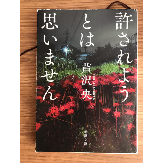 許されようとは思いません エンタメ/ホビーの本(文学/小説)の商品写真