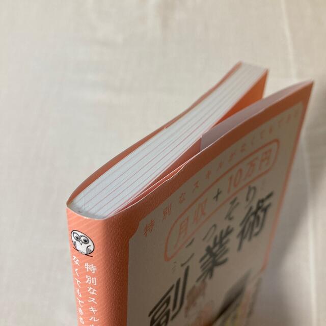 月収＋１０万円こっそり副業術 特別なスキルがなくてもできる エンタメ/ホビーの本(ビジネス/経済)の商品写真