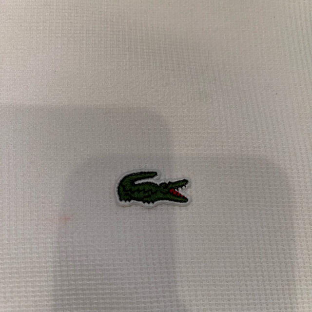 LACOSTE(ラコステ)のLacoste ワッフル　ポロシャツ　オフホワイト レディースのトップス(ポロシャツ)の商品写真