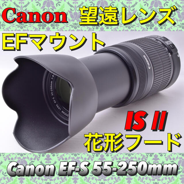 感動の望遠レンズ♪ハロウィンを撮る♪秋の撮影♪一眼レフで全集中♪55-250ｍｍ