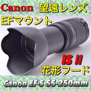 感動の望遠レンズ♪ハロウィンを撮る♪秋の撮影♪一眼レフで全集中♪55