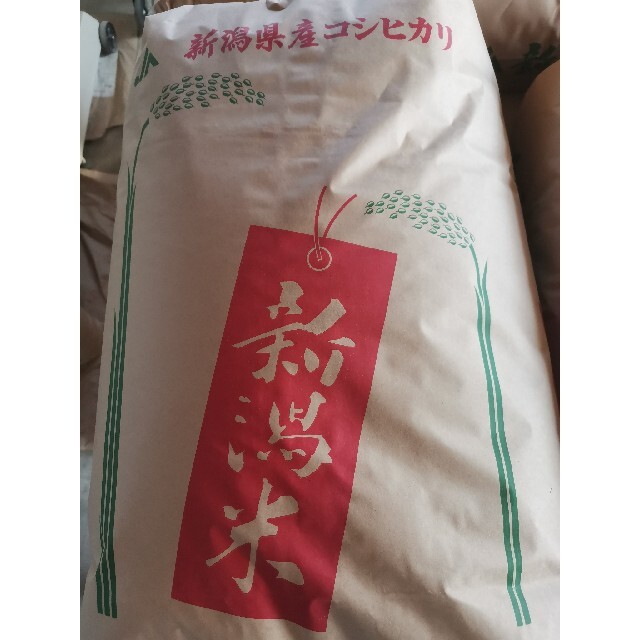 希少!令和3年新潟県下田産コシヒカリ 新米 玄米 30kg 産地直送!食品