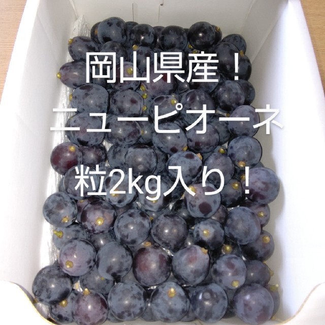 岡山県産ニューピオーネ粒2kg 食品/飲料/酒の食品(フルーツ)の商品写真