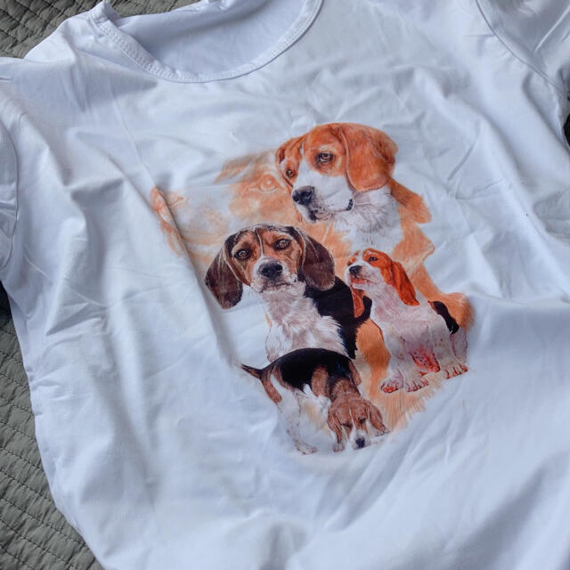 ビーグル　Tシャツ レディースのトップス(Tシャツ(半袖/袖なし))の商品写真