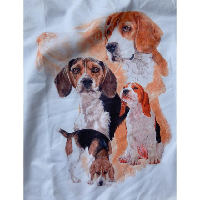 ビーグル　Tシャツ レディースのトップス(Tシャツ(半袖/袖なし))の商品写真