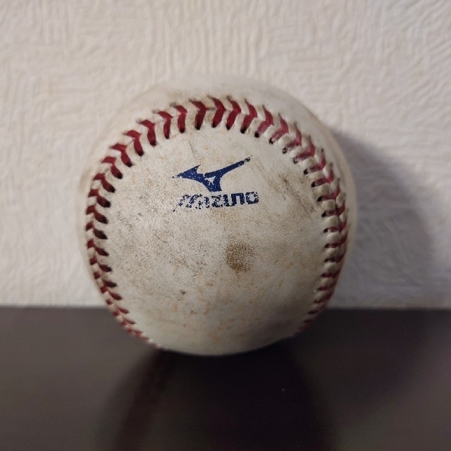 NPB プロ野球 練習球 setpublisher.com