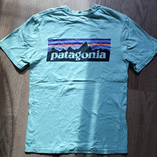 patagonia(パタゴニア)のpatagonia　パタゴニア　Tシャツ　グリーン　XS メンズのトップス(Tシャツ/カットソー(半袖/袖なし))の商品写真
