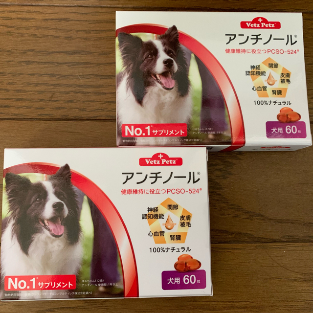 アンチノール犬用60粒2ケース | www.ecotours-of-oregon.com