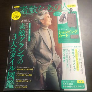 タカラジマシャ(宝島社)の素敵なあの人　11月号(ファッション)