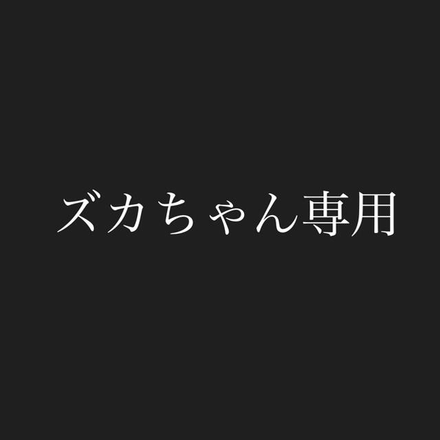 ズカちゃんさま専用