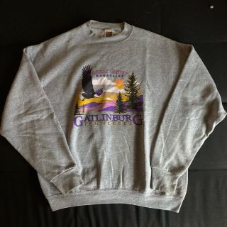 ビームス(BEAMS)のFruits of the loom sweat XL(スウェット)