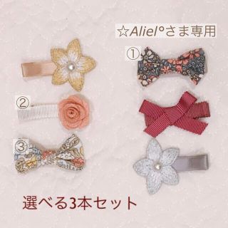 【専用】☆Aliel°さま 専用ページ(ヘアピン)