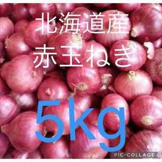 北海道産赤玉ねぎ5kg(野菜)