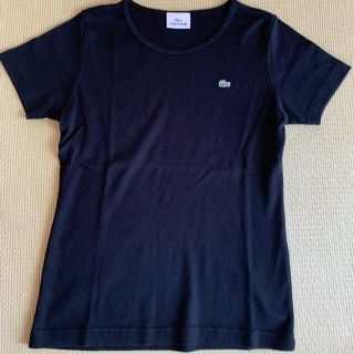 ラコステ(LACOSTE)の【LACOSTE】Tシャツ カットソー レディース M 新品(Tシャツ(半袖/袖なし))