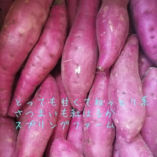 サツマイモR3年紅はるか家庭用Sサイズ茨城県24㌔以上土付き減農薬栽培 ...