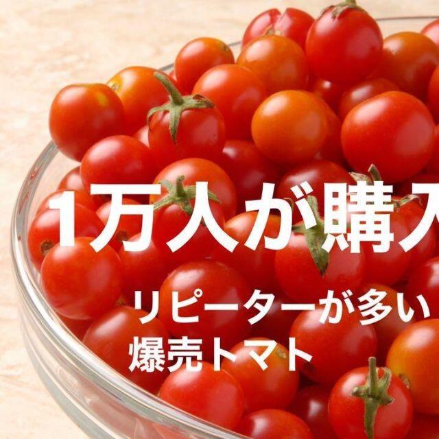 八ヶ岳産 ミニトマト約１kg 味濃いめ！農薬は薄め！お子様も大好き！ 食品/飲料/酒の食品/飲料/酒 その他(その他)の商品写真