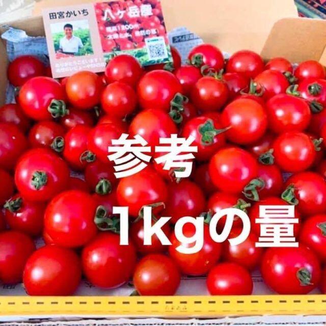 八ヶ岳産 ミニトマト約１kg 味濃いめ！農薬は薄め！お子様も大好き！ 食品/飲料/酒の食品/飲料/酒 その他(その他)の商品写真