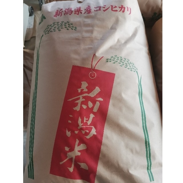 新潟県産コシヒカリ30kg令和3年（2021年）　米/穀物
