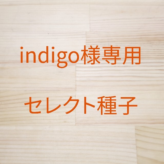 indigo様専用　セレクト種子　2袋 食品/飲料/酒の食品(野菜)の商品写真