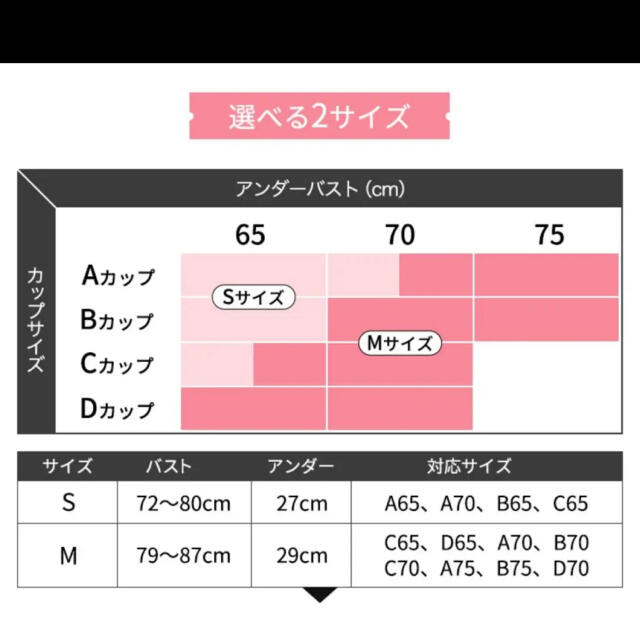 GYDA(ジェイダ)のAGARISM  GYDA スタイリング ブラ Sサイズ 新品 アガリズム レディースの下着/アンダーウェア(ブラ)の商品写真