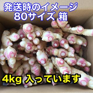 新生姜　箱込み4kg   減農薬栽培(野菜)